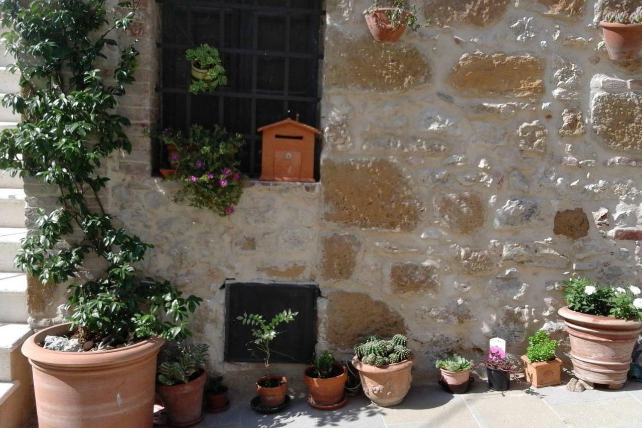 Casa Vacanze "Nonna Vela" Petroio Exteriör bild