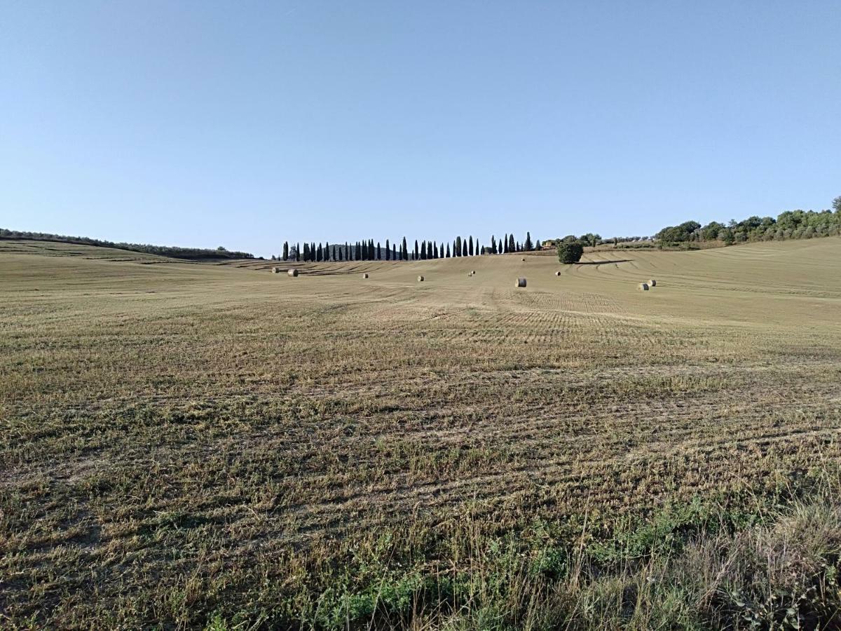 Casa Vacanze "Nonna Vela" Petroio Exteriör bild